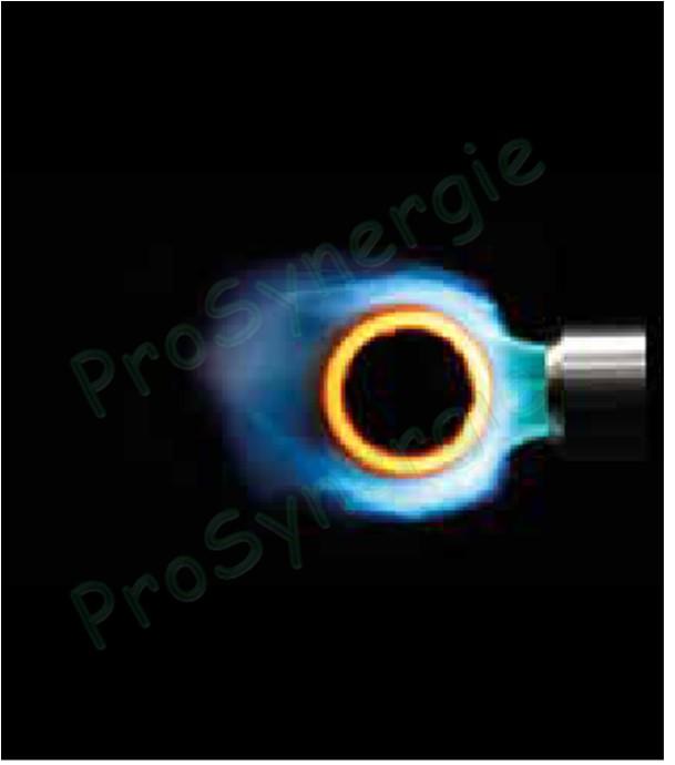 Gamme de Lances et brûleurs Sievert Promatic avec fixation baïonnette