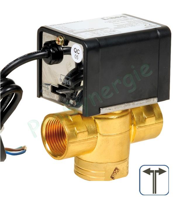 Vannes directionnelles 3 voies à clapet retour par ressort - Raccord 1 F